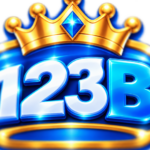 123bnmtcom1
