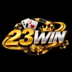 23WIN