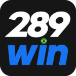 289wins