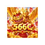 566cmx