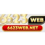 6623webnet