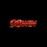 98winvnjpnet