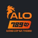 alo789stacey