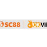 c88seocom