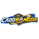 Cá Độ Bóng Đá