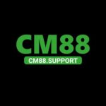 cm88support1
