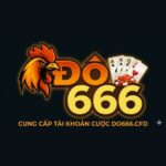 do666cfd