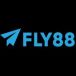 fly888snet