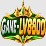 LV8800 Game