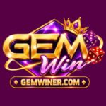 GEMWIN