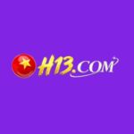 H13