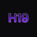 H19