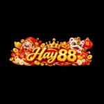 HAY88 Nhà cái