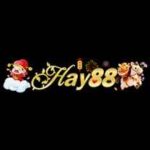 hay88vnco