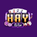 Haywin