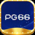 hpg66com