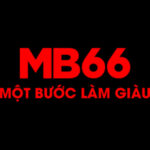 MB66
