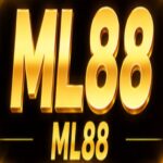 Ml88ml dev