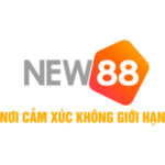 NEW88
