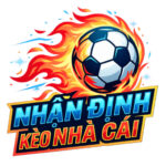 nhandinhnhacaicom