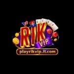 Playrikvipitcom