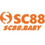 sc88baby