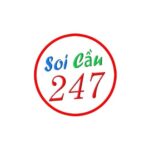 Soicau247rongbachkimme