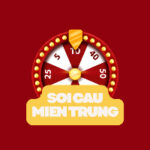 Soi Cầu Miền Trung