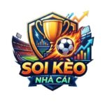 soikeonhacaicapital