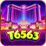 T6563