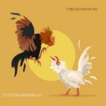thomohomnayethi