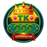 tk999playnetbd