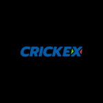 topcrickex com