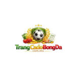 Trang Cá Độ Bóng Đá