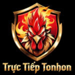 Trực Tiếp Tonhon