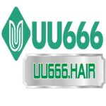 uu666hair