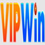 vipwinlocker