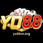 yo88vnorg01