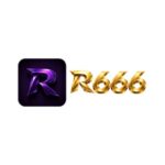 zr666net